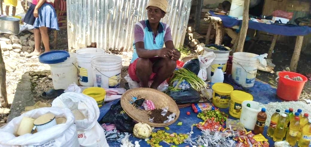 ‘I Earn a Profit. I Can Feed My Family’: How Microcredit Lending in Haiti Is Changing Women’s Lives - Ms. Magazine