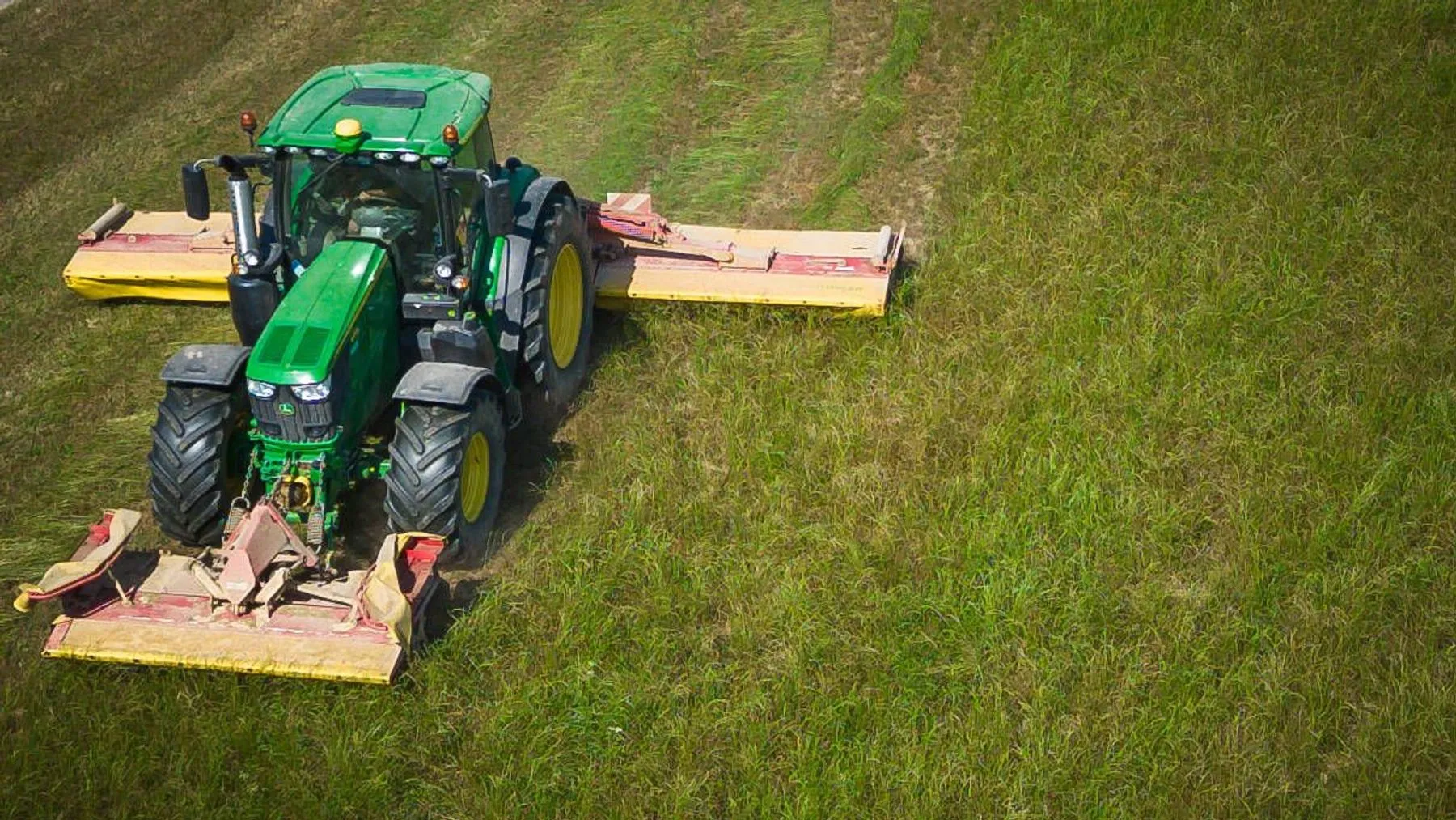 Nach wochenlangem Streit: EU-Parlament stimmt für umstrittenes Naturschutzgesetz