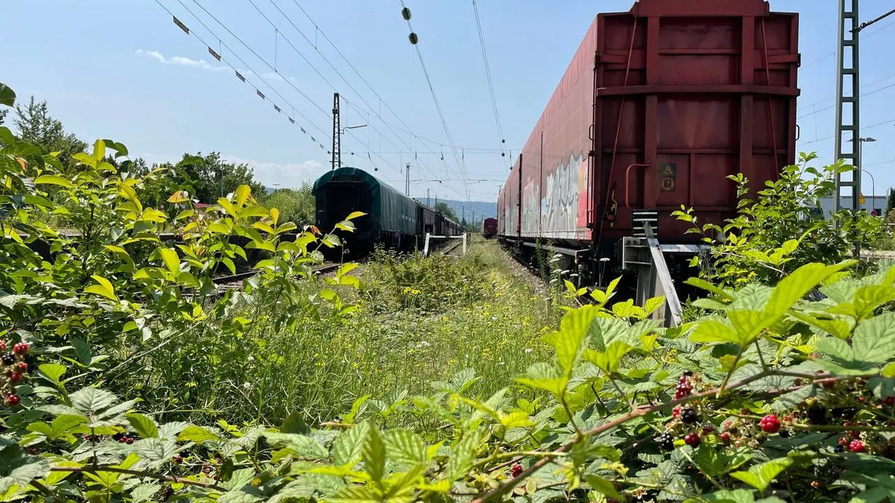 Baden-Württemberg: Stromschlag: Junge stirbt bei Unfall am Bahnhof in Ettlingen