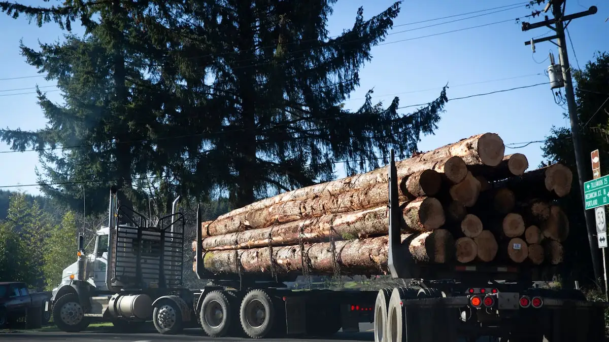 The Oregon timber industry won huge tax cuts in the 1990s. Now it may get another break thanks to a top lawmaker