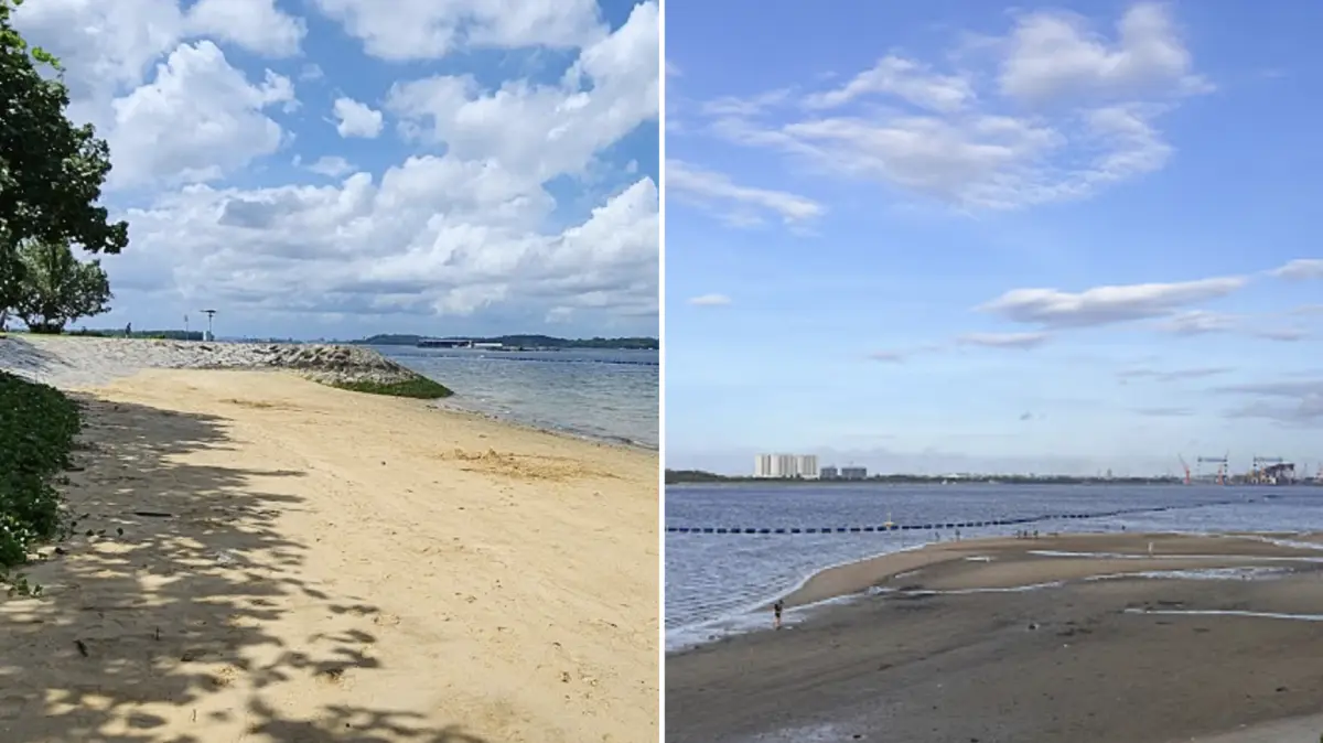 'Not suitable for swimming': Elevated bacteria levels found at Pasir Ris, Sembawang Park beaches