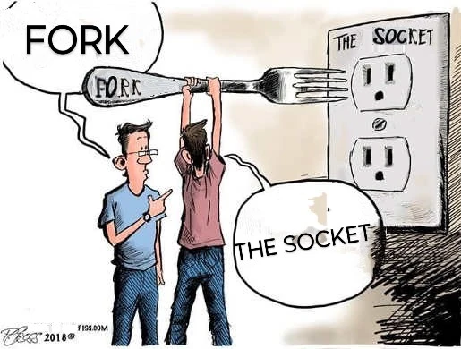 poorly edited single-panel comic strip featuring two guys. guy 1 points at a huge socket on the wall, labeled the socket; guy 2 holds an equally huge fork, labeled fork and is about to insert it in the socket. guy 1: FORK. guy 2: THE SOCKET