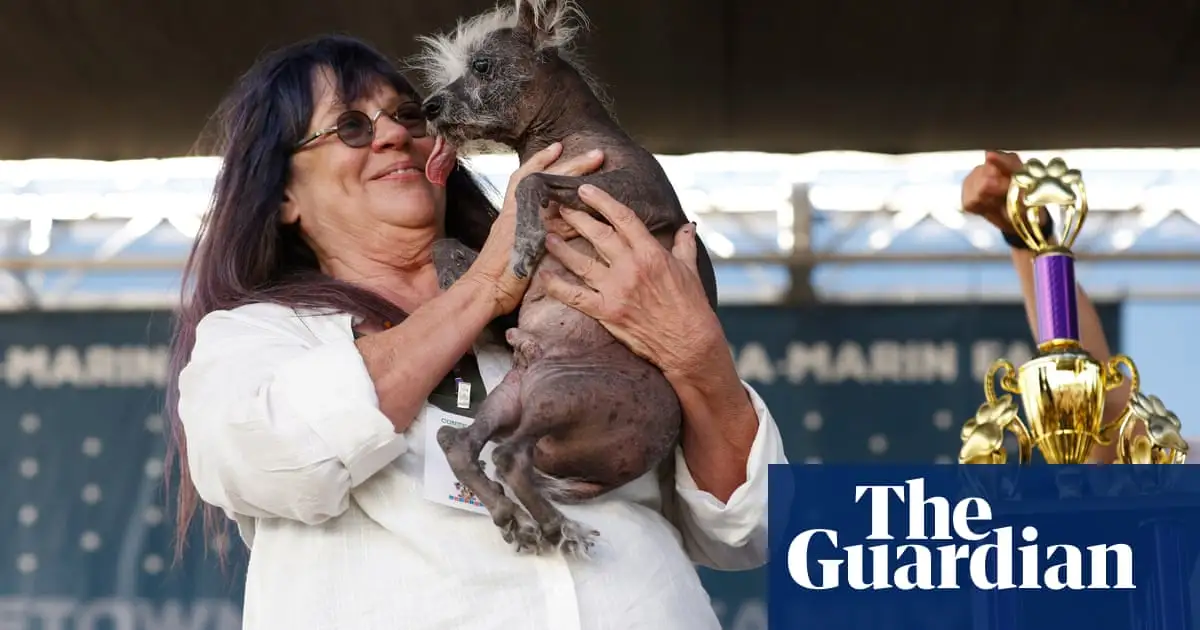 Scooter, a Chinese crested, is crowned world’s ugliest dog