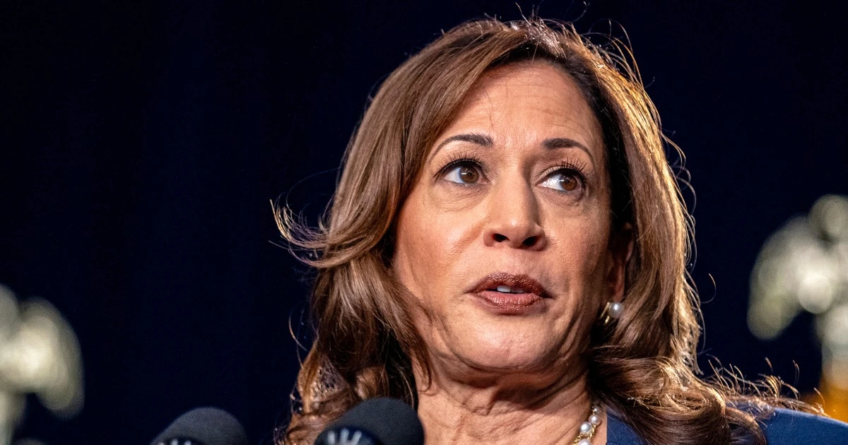 Harris’ political ascent makes her the latest target of DEI insults