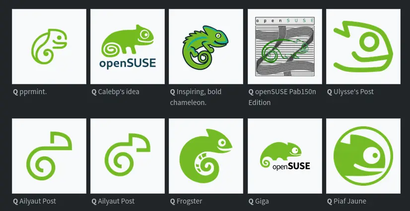 Selecting the New Face of openSUSE is Underway