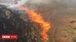 Brasil faz reunião do G20 sobre agro "sustentável" em cidade coberta por fumaça - BBC News Brasil