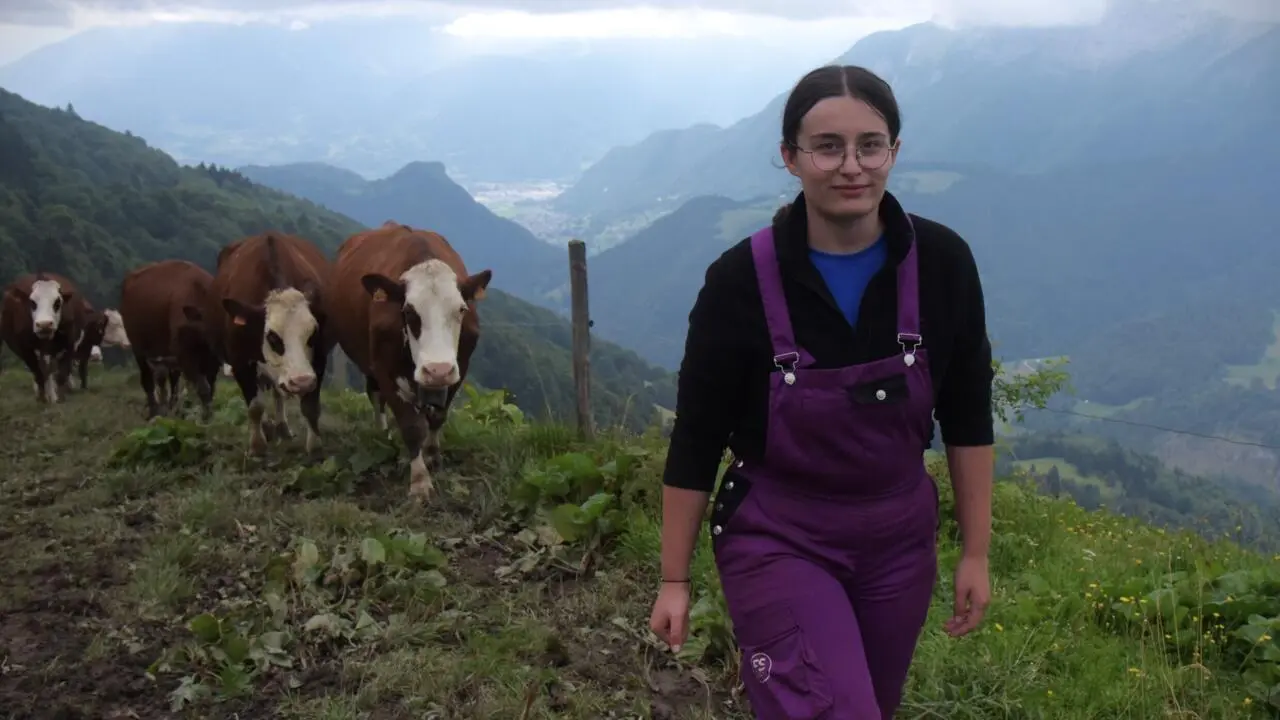 Reportage France - Unique en France, l'alpage-école de Serraval forme au pastoralisme en montagne à l’ère du changement climatique