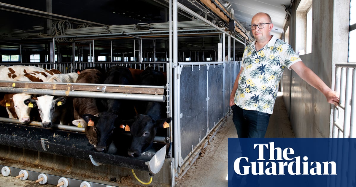 Farmers on frontline as Dutch divided by war on nitrogen pollution