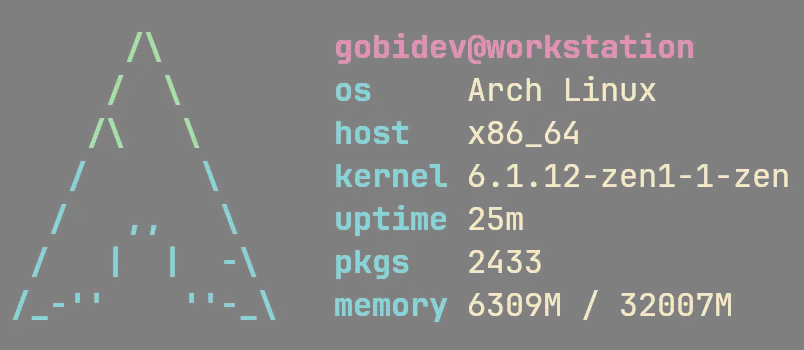 GitHub - Gobidev/pfetch-rs: A rewrite of the pfetch system information tool in Rust