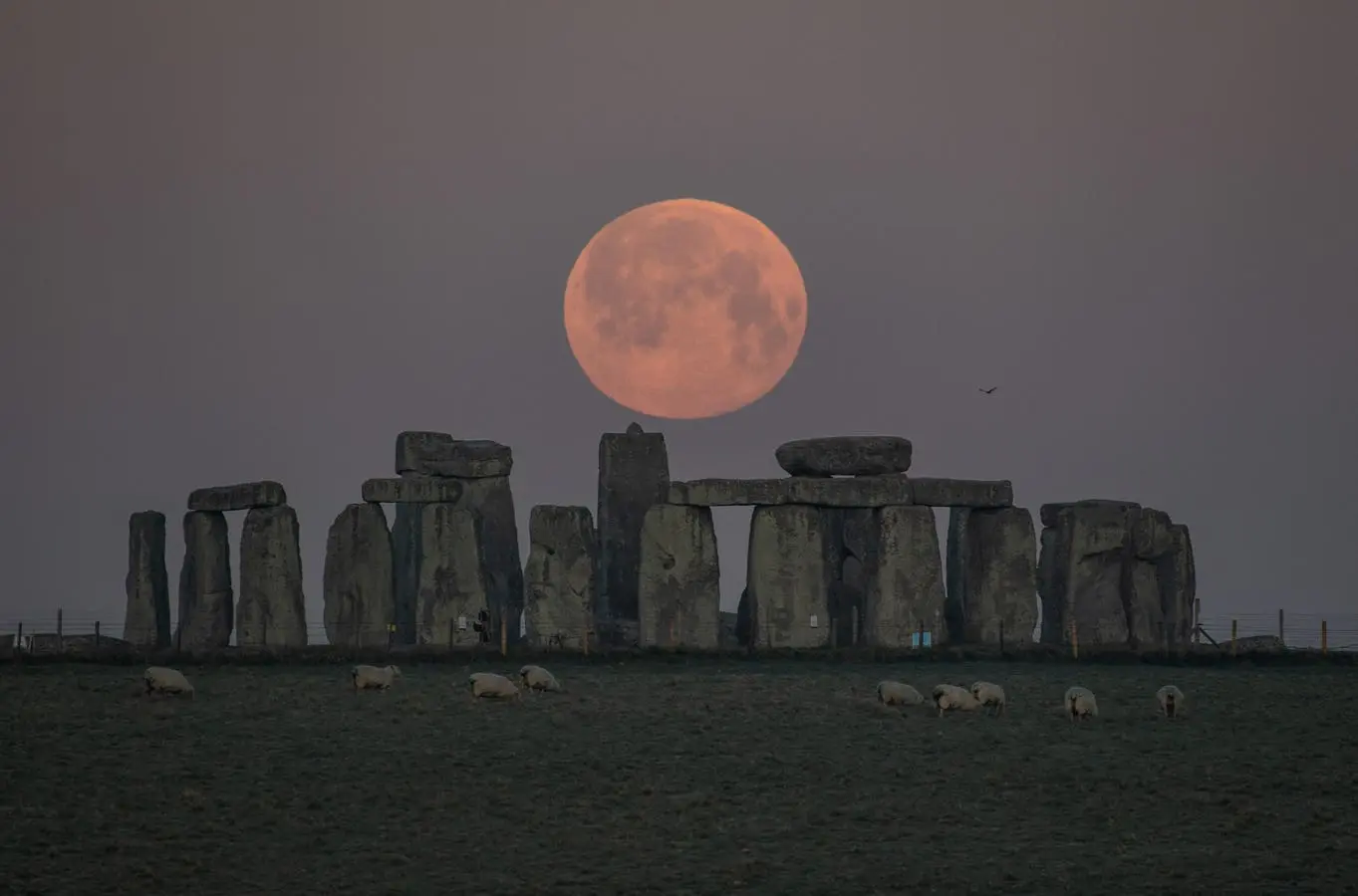 Stonehenge In ‘Danger’ From U.K.’s Road Plan, Warns UNESCO