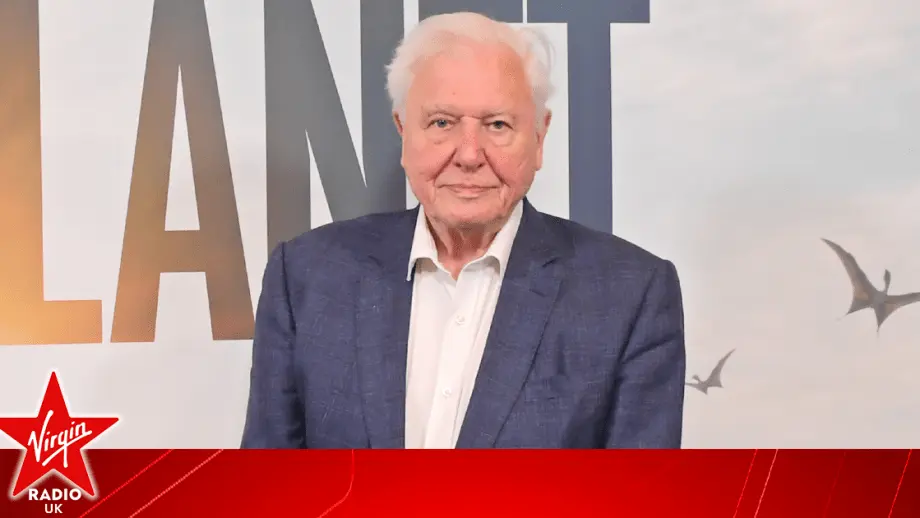 David Attenborough officially has more letters after his name than in it | Virgin Radio UK